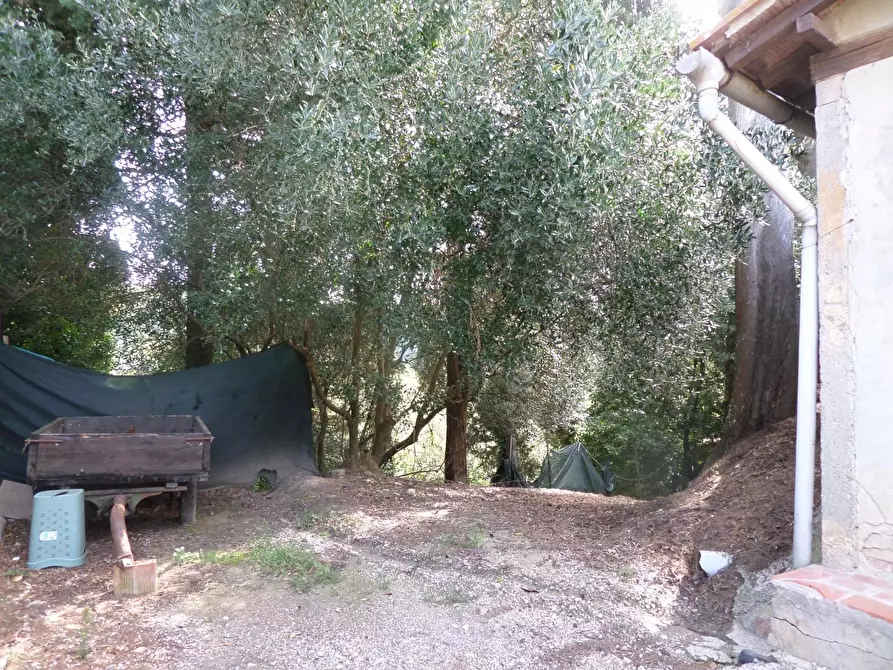 Immagine 28 di Casa indipendente in vendita  a Montopoli In Val D'arno