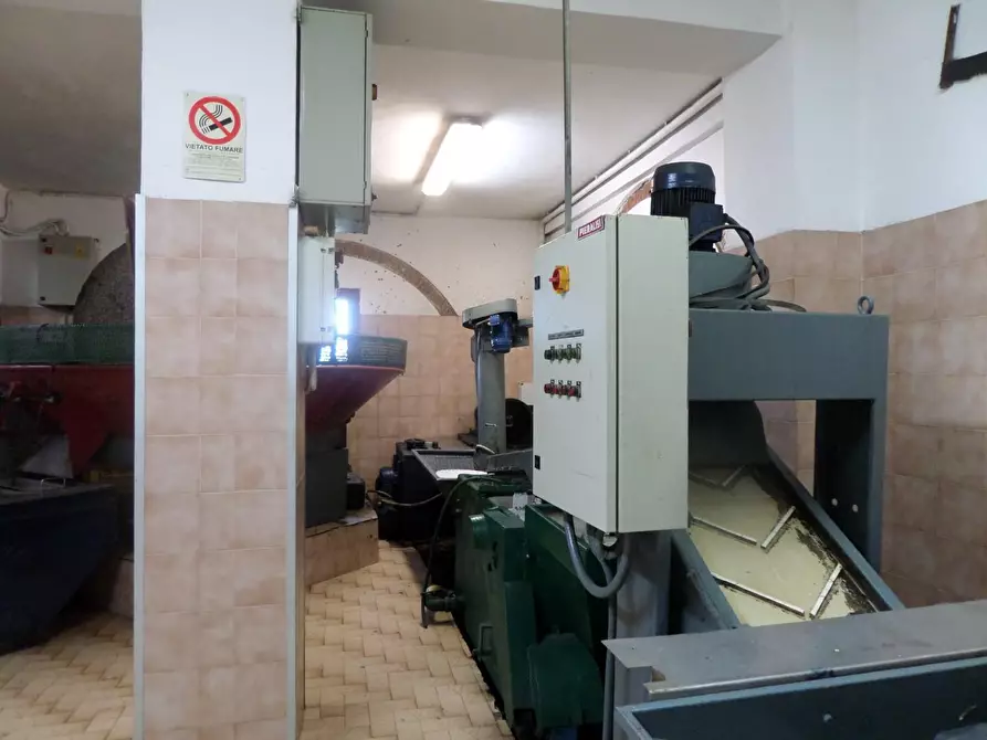 Immagine 18 di Casa indipendente in vendita  a Montopoli In Val D'arno