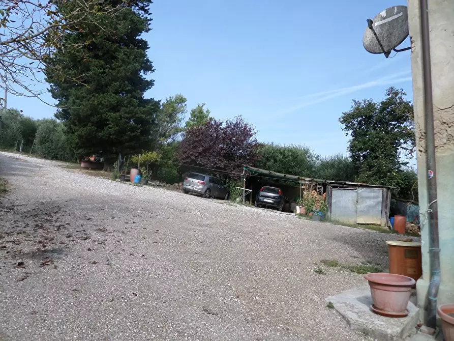 Immagine 22 di Casa indipendente in vendita  a Montopoli In Val D'arno