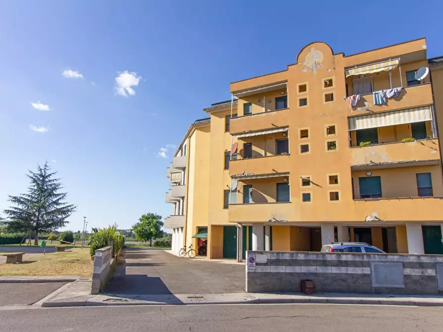 Immagine 27 di Appartamento in vendita  a Ponsacco