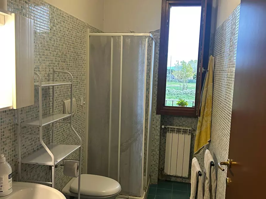 Immagine 6 di Appartamento in affitto  a Signa