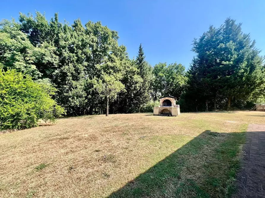 Immagine 19 di Villa in vendita  a Casciana Terme Lari