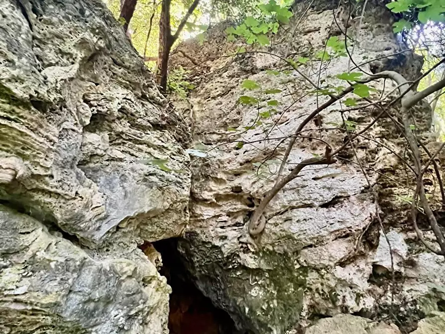 Immagine 29 di Villa in vendita  a Casciana Terme Lari