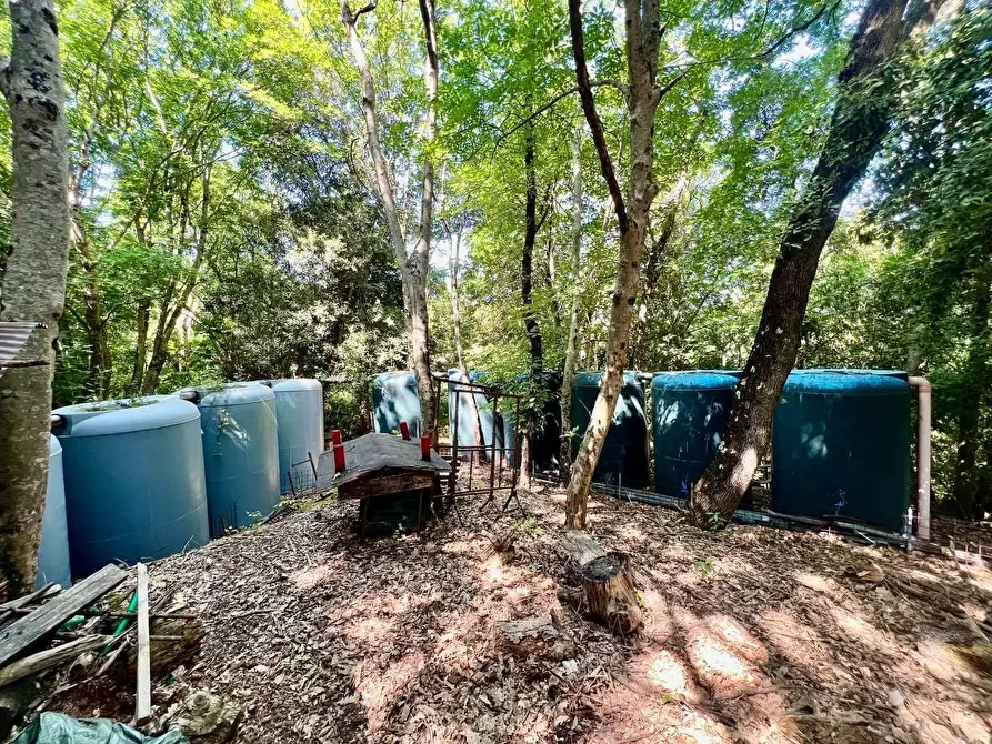 Immagine 20 di Villa in vendita  a Casciana Terme Lari