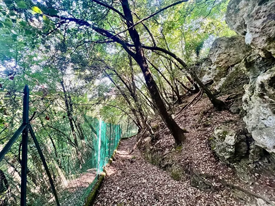 Immagine 67 di Villa in vendita  a Casciana Terme Lari