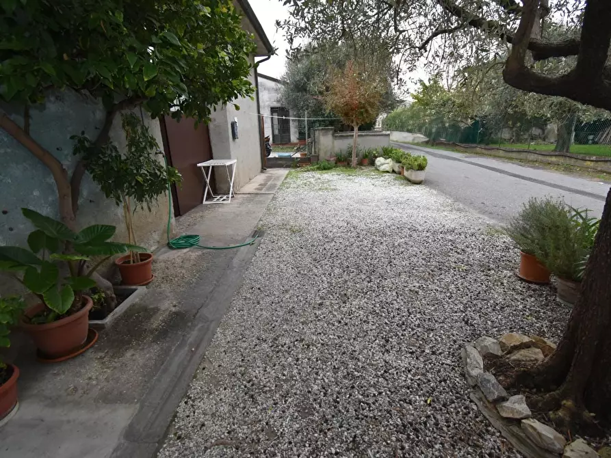 Immagine 41 di Terratetto in vendita  a San Giuliano Terme