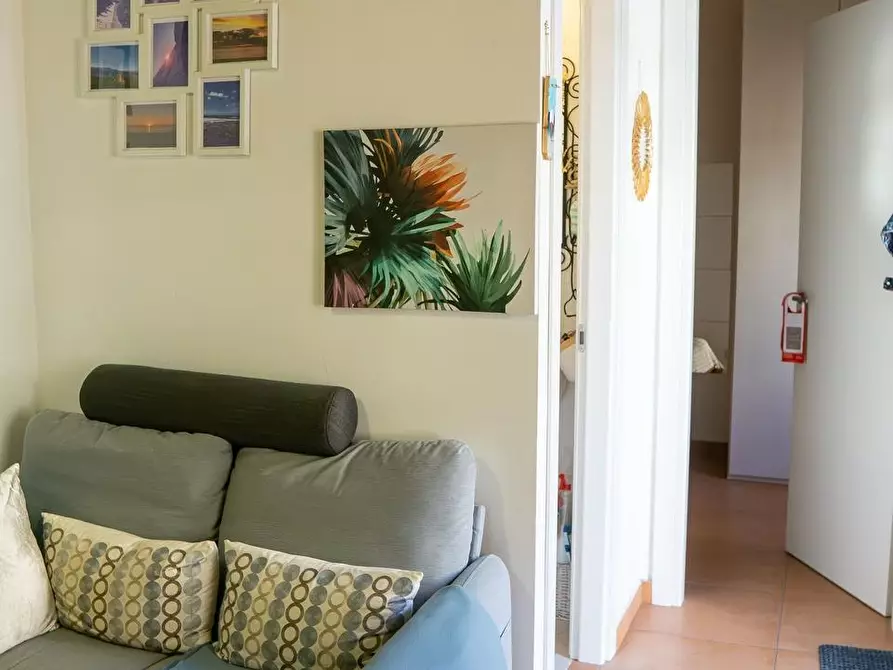 Immagine 12 di Terratetto in vendita  a Pisa