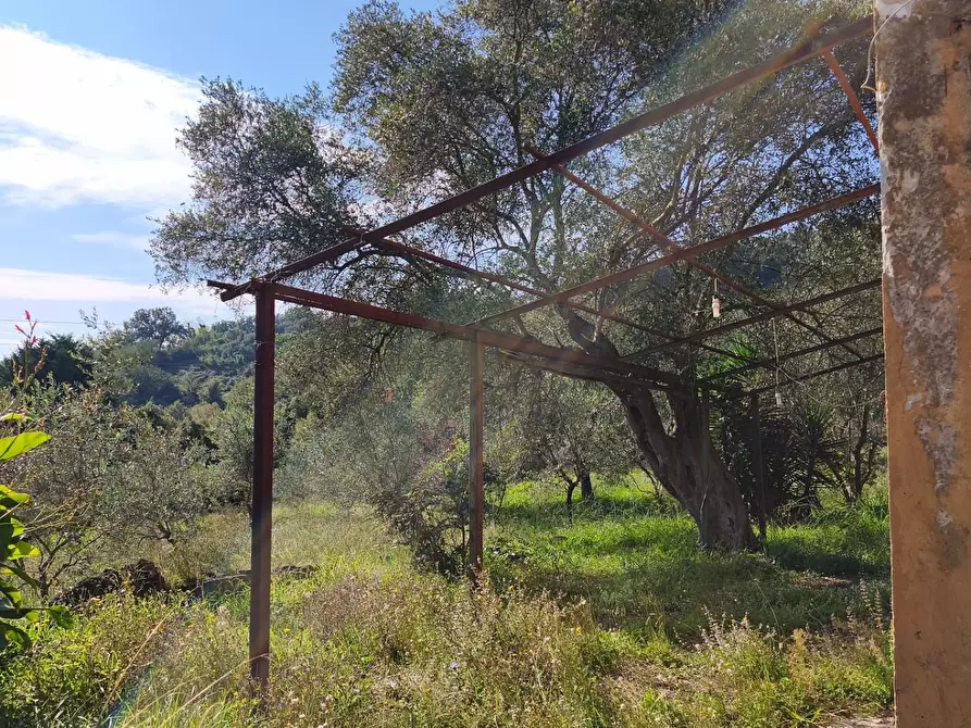 Immagine 2 di Casa indipendente in vendita  a Carrara