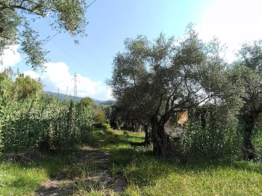 Immagine 5 di Casa indipendente in vendita  a Carrara