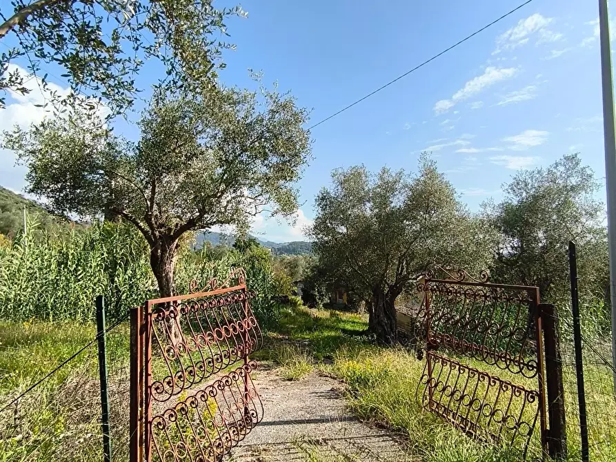 Immagine 4 di Casa indipendente in vendita  a Carrara