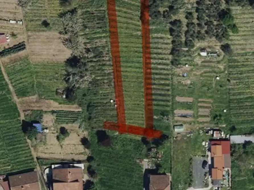 Immagine 1 di Terreno agricolo in vendita  a Massa