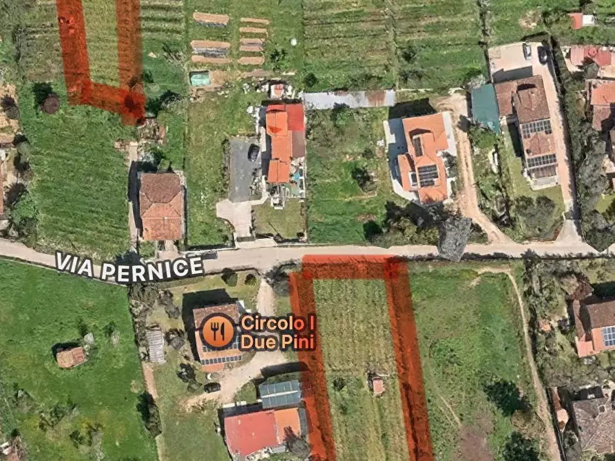 Immagine 1 di Terreno agricolo in vendita  a Massa