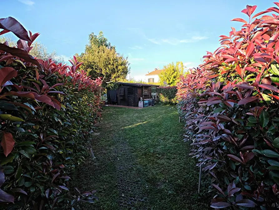 Immagine 24 di Villetta a schiera in vendita  a Cascina