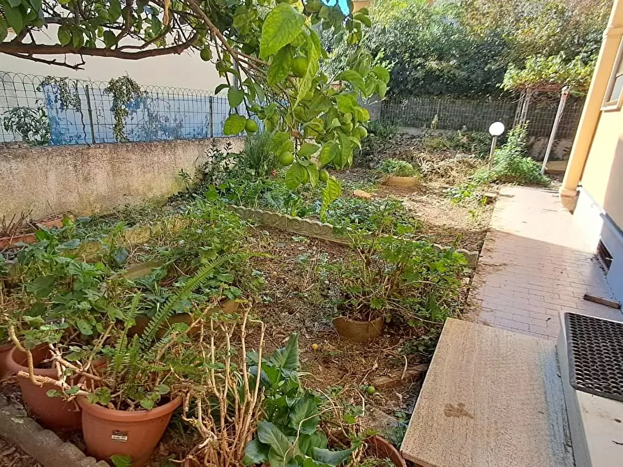 Immagine 5 di Villa in vendita  a Cecina