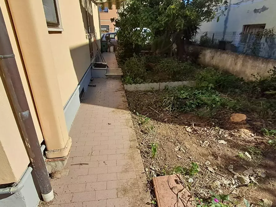 Immagine 4 di Villa in vendita  a Cecina