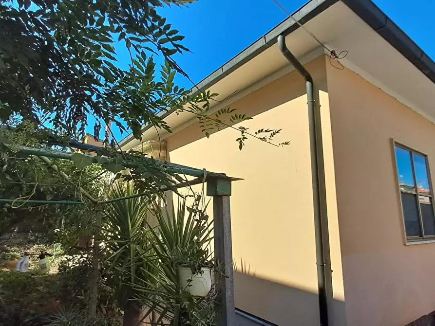 Immagine 2 di Villa in vendita  a Cecina