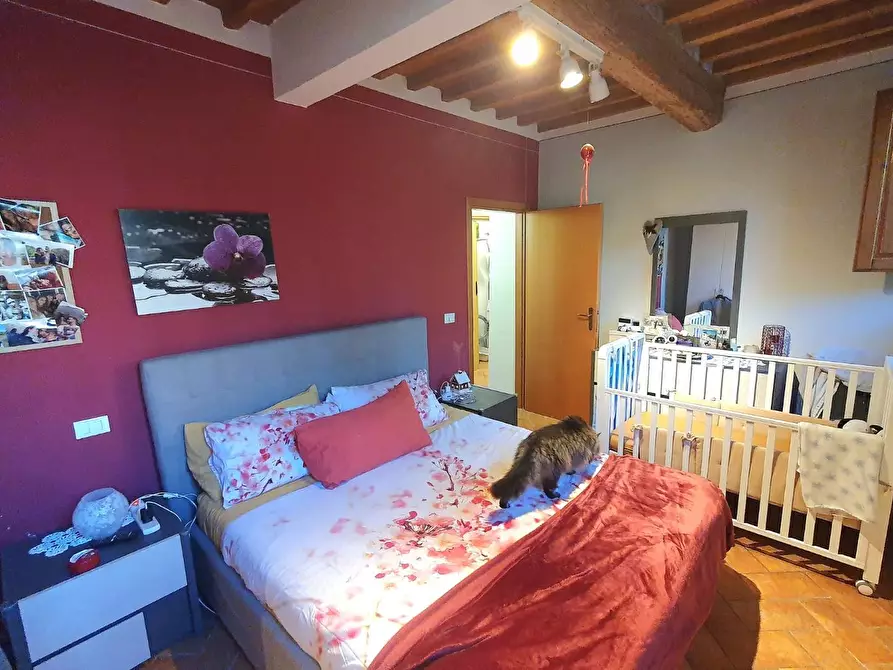 Immagine 13 di Appartamento in vendita  a Lucca