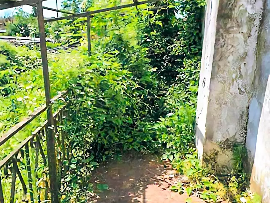 Immagine 15 di Appartamento in vendita  a Rea