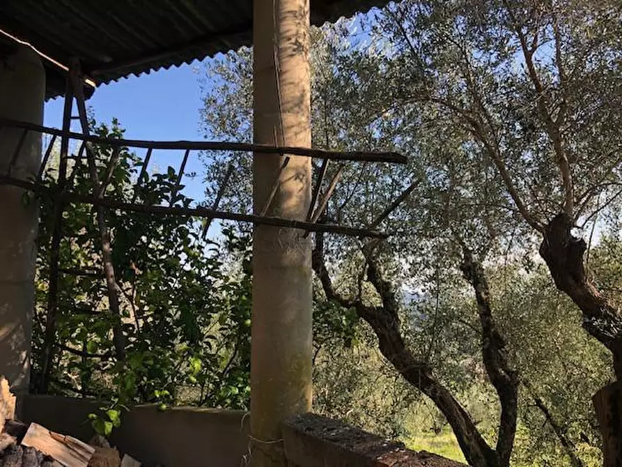 Immagine 21 di Rustico / casale in vendita  a Capannori