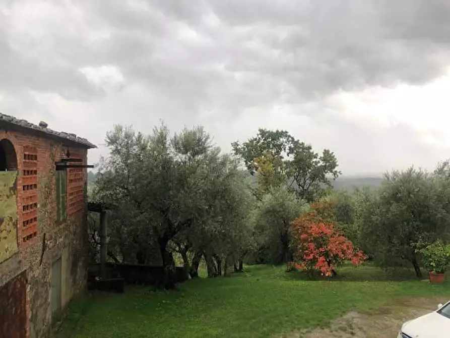 Immagine 7 di Rustico / casale in vendita  a Capannori