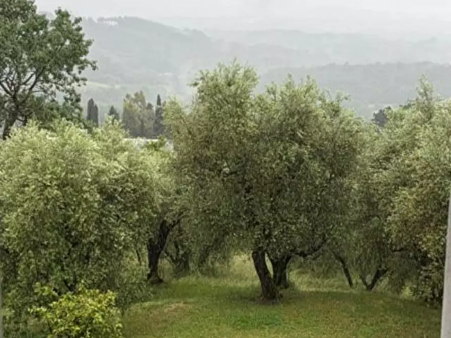 Immagine 13 di Rustico / casale in vendita  a Capannori