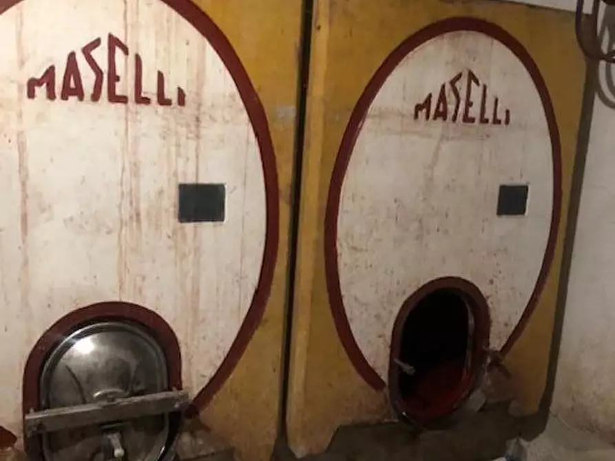 Immagine 6 di Rustico / casale in vendita  a Capannori