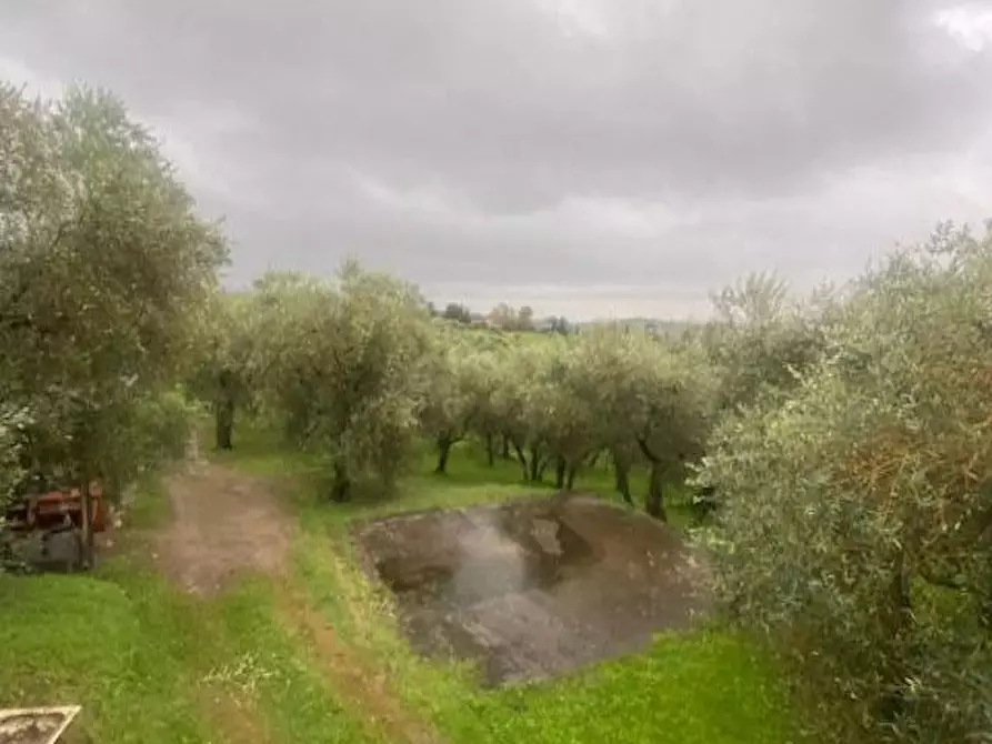 Immagine 19 di Rustico / casale in vendita  a Capannori