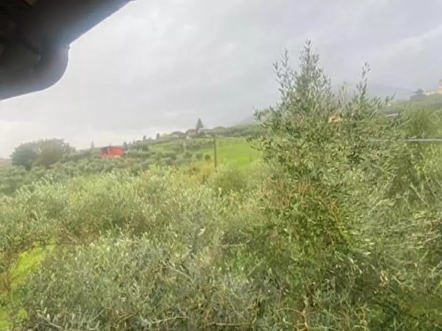 Immagine 2 di Rustico / casale in vendita  a Capannori