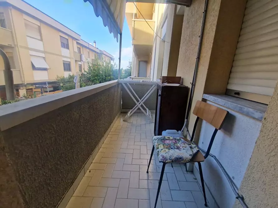 Immagine 14 di Appartamento in vendita  a Rosignano Marittimo