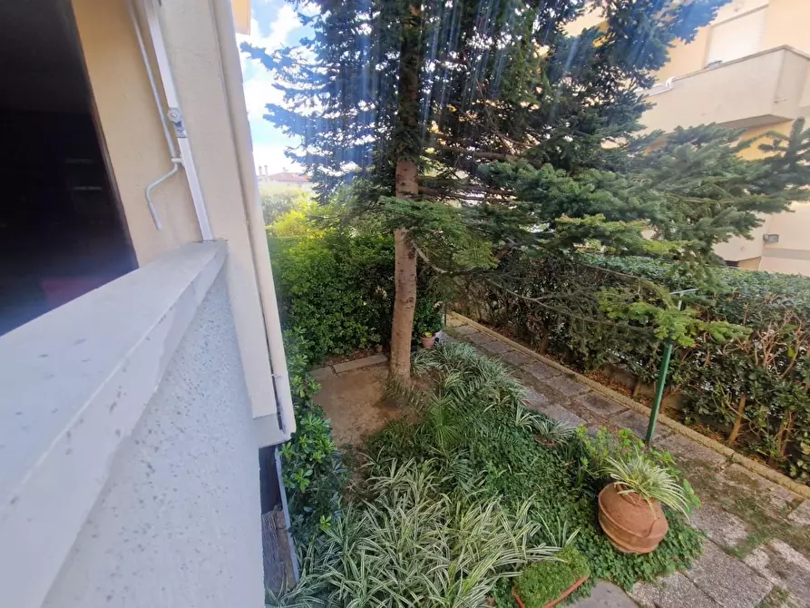 Immagine 13 di Appartamento in vendita  a Rosignano Marittimo