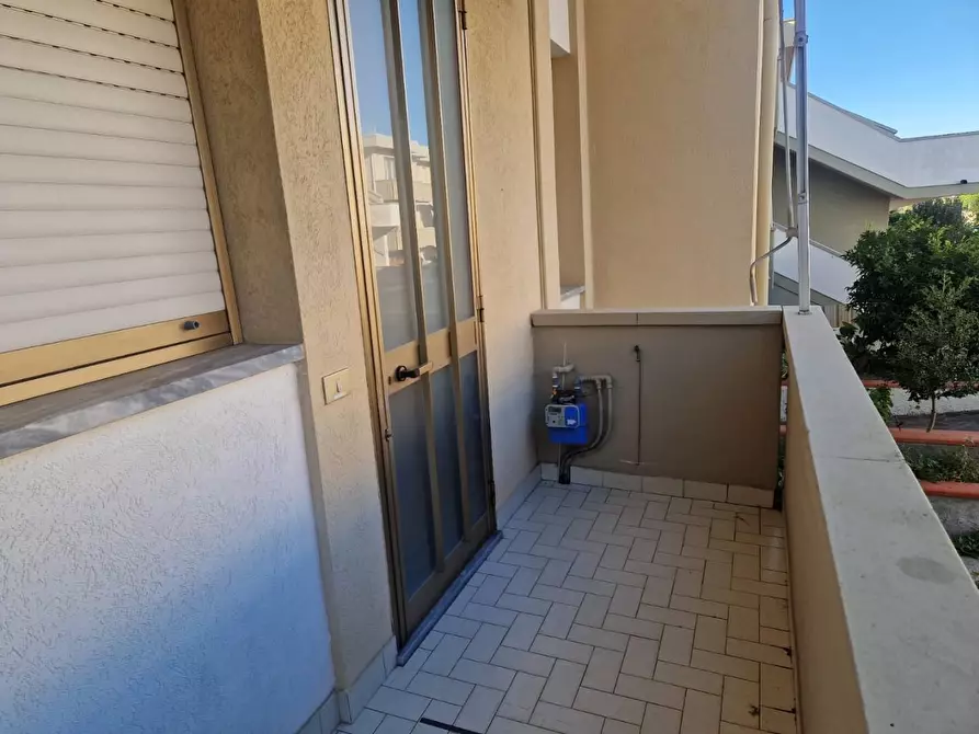 Immagine 7 di Appartamento in vendita  a Rosignano Marittimo