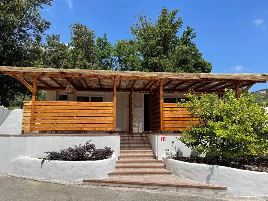 Immagine 9 di Appartamento in affitto  a Sarzana