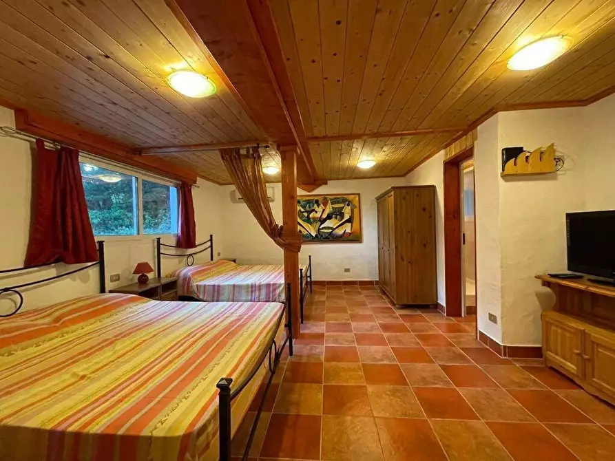 Immagine 12 di Appartamento in affitto  a Sarzana