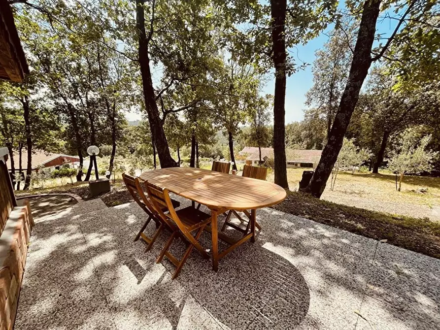 Immagine 10 di Appartamento in affitto  a Sarzana