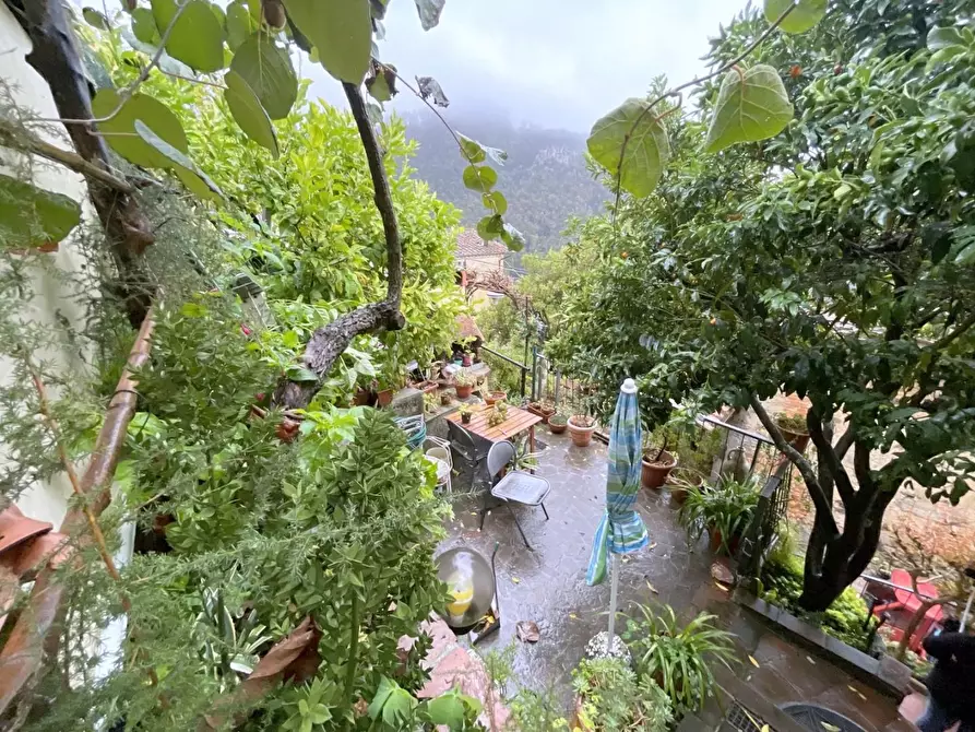 Immagine 30 di Terratetto in vendita  a Camaiore