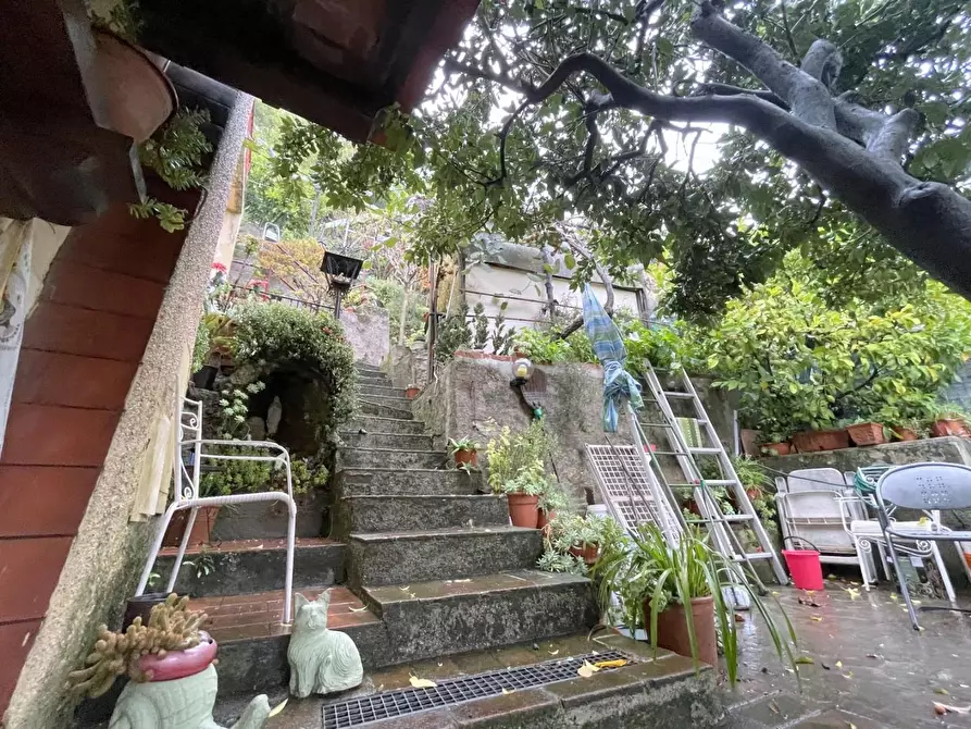 Immagine 29 di Terratetto in vendita  a Camaiore