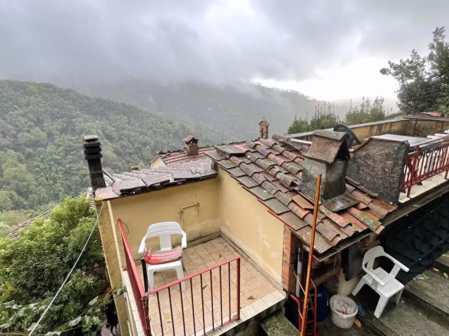 Immagine 31 di Terratetto in vendita  a Camaiore