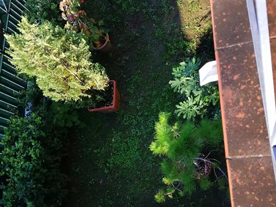 Immagine 15 di Villetta a schiera in vendita  a Massa