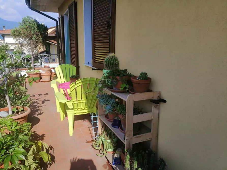 Immagine 7 di Villetta a schiera in vendita  a Massa