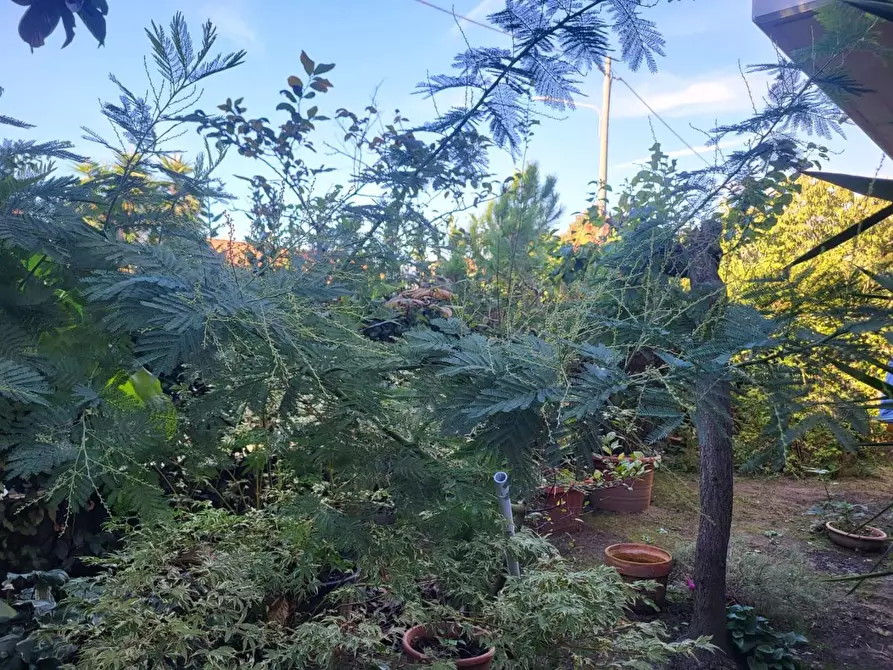 Immagine 6 di Villetta a schiera in vendita  a Massa