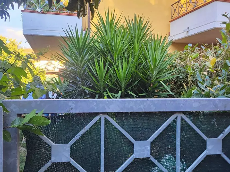 Immagine 27 di Villetta a schiera in vendita  a Massa