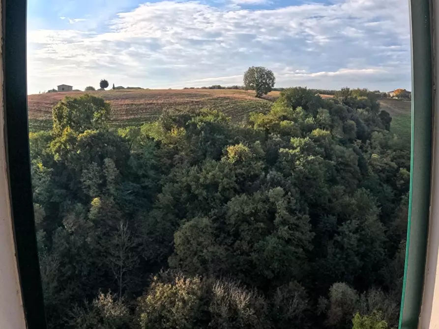 Immagine 4 di Appartamento in vendita  a Colle Di Val D'elsa