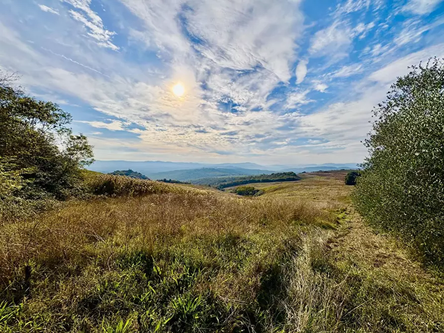 Immagine 28 di Villa in vendita  a San Gimignano