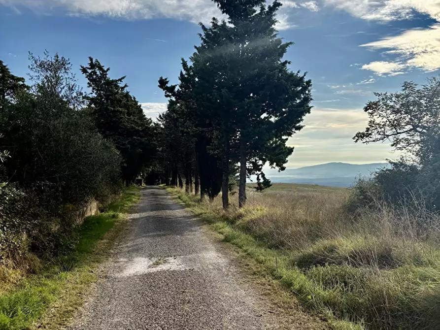 Immagine 16 di Villa in vendita  a San Gimignano