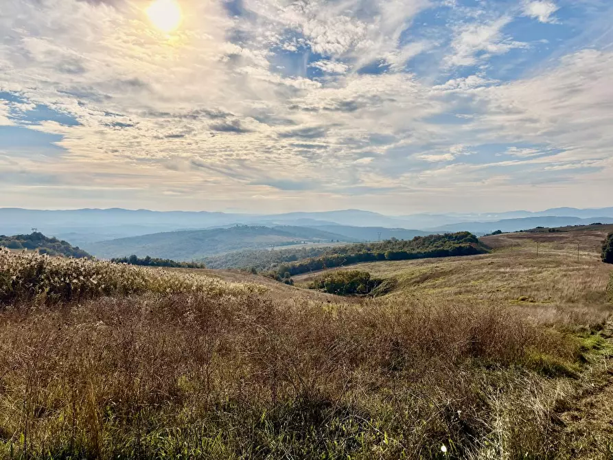 Immagine 29 di Villa in vendita  a San Gimignano