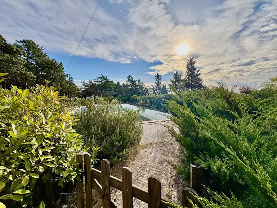 Immagine 19 di Villa in vendita  a San Gimignano