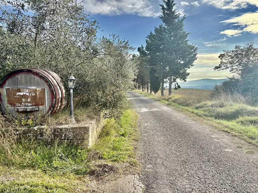 Immagine 14 di Villa in vendita  a San Gimignano
