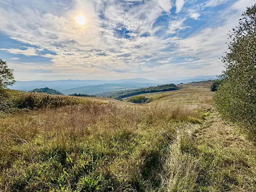 Immagine 27 di Villa in vendita  a San Gimignano
