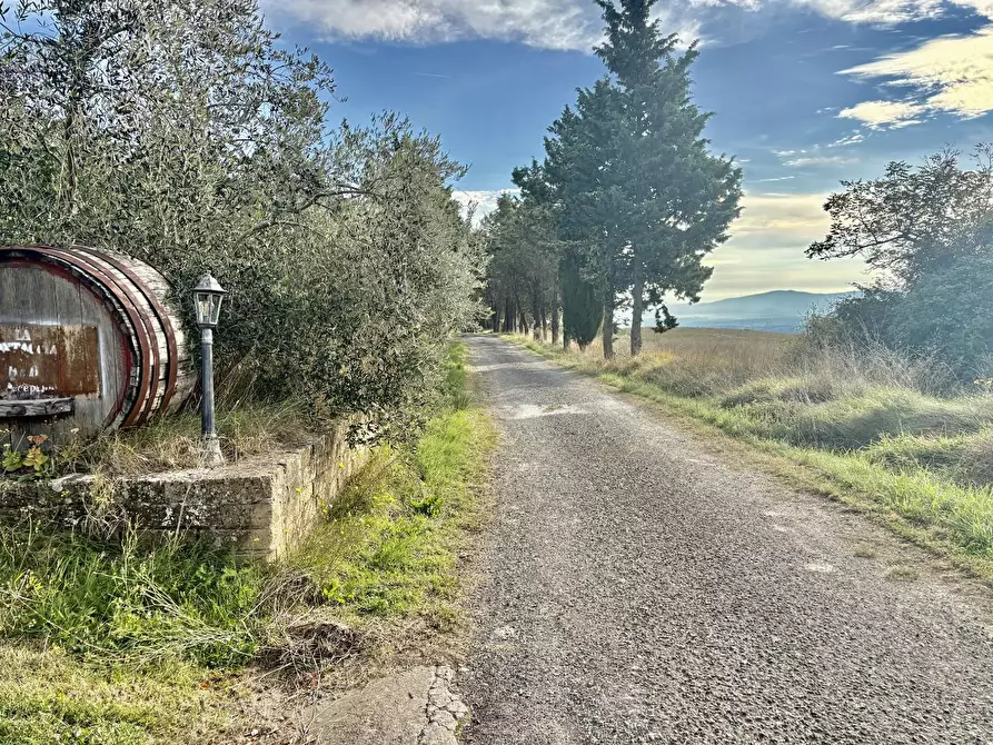 Immagine 15 di Villa in vendita  a San Gimignano