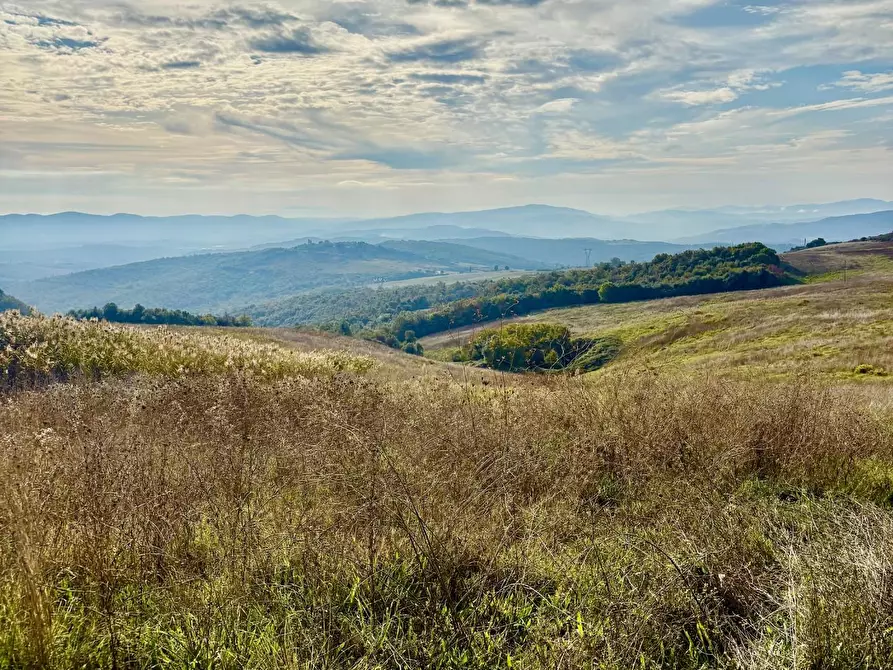 Immagine 26 di Villa in vendita  a San Gimignano